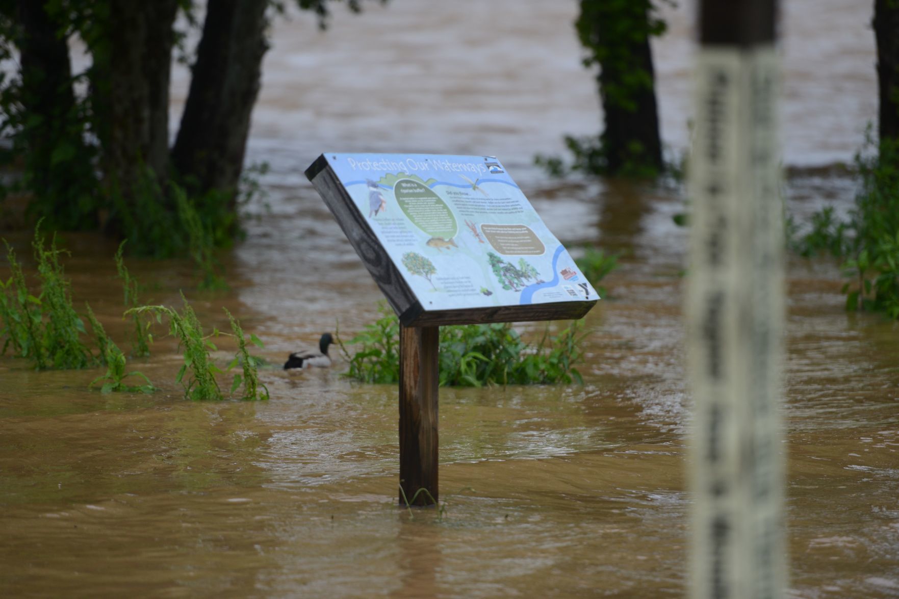 Flood